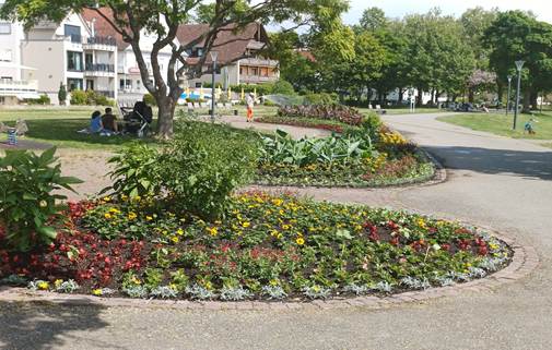 Ein Bild, das draußen, Baum, Landschaftsgestaltung, Botanischer Garten enthält.
KI-generierte Inhalte können fehlerhaft sein.