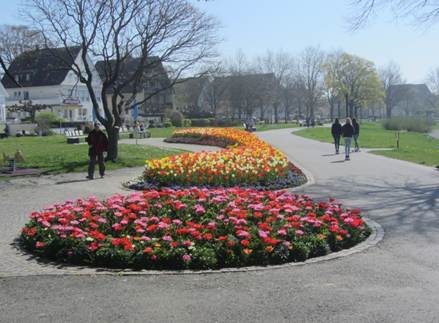 Ein Bild, das Baum, Himmel, drauen, Gras enthlt.

Automatisch generierte Beschreibung