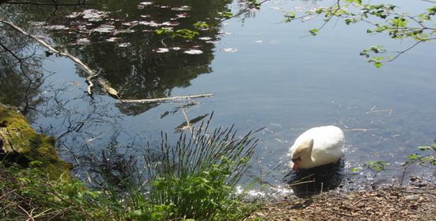 Ein Bild, das Wasser, drau�en, See, Teich enth�lt.

Automatisch generierte Beschreibung