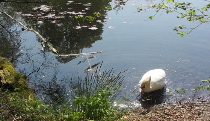 Ein Bild, das drauen, Person, Stuhl, Personen enthlt.

Automatisch generierte Beschreibung